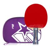 红双喜A2006二星级直拍乒乓球拍（1支）
